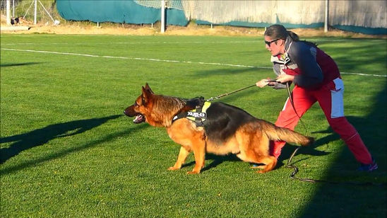 Ilbo von Turia Drimas - Protection April 2016